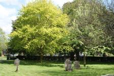 Sandon Church Building